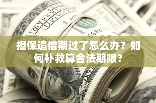 济南担保追偿期过了怎么办？如何补救算合法期限？